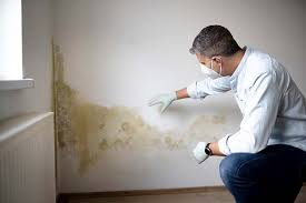 Best Mold Odor Removal Services  in Tariffville, CT